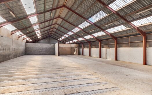 Lagerhal med mulighed for opdeling og langtidsleje