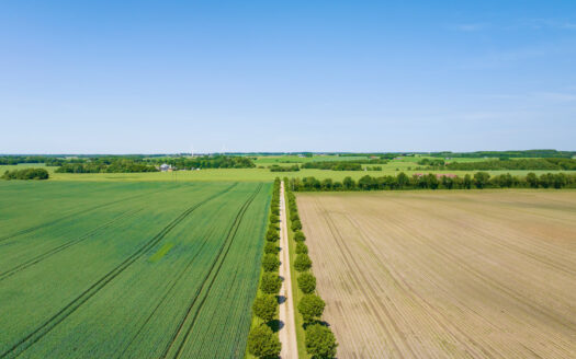 Velholdt landejendom med energivenlig bolig, driftsbygninger og fremragende jagtmuligheder