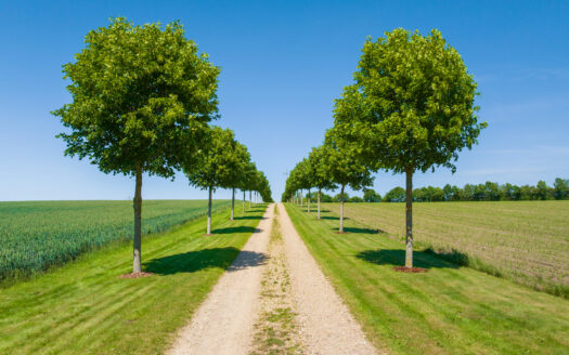 Velholdt landejendom med energivenlig bolig, driftsbygninger og fremragende jagtmuligheder