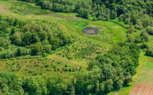 Velholdt landejendom med energivenlig bolig, driftsbygninger og fremragende jagtmuligheder