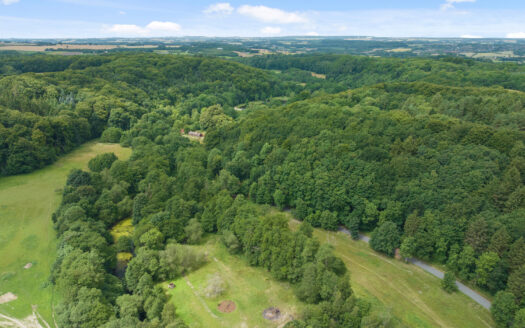 Hesteejendom med bolig og erhverv i naturskønne omgivelser