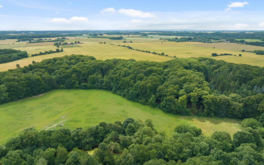 Hesteejendom med bolig og erhverv i naturskønne omgivelser