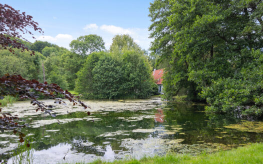 Hesteejendom med bolig og erhverv samt 11.546 m² grund i naturskønne omgivelser