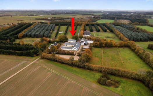 Kvalitets hesteejendom med 45 hestebokse tæt på Aarhus – stort udlejepotentiale