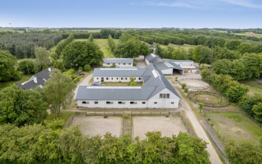 Kvalitets hesteejendom med 45 hestebokse tæt på Aarhus – stort udlejepotentiale