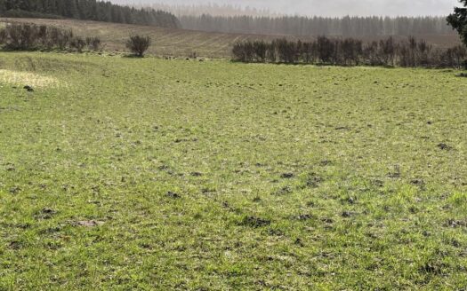3,7 ha frijord med byggeret på Djursland