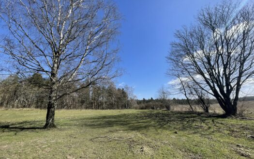 Naturskøn ejendom med rolig beliggenhed på Djursland
